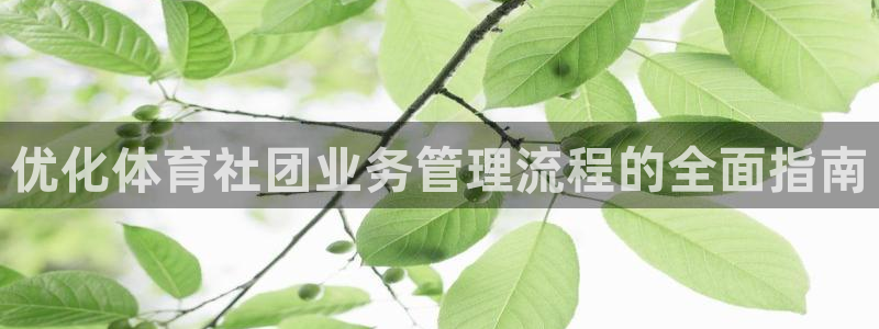 必一运动·体育：优化