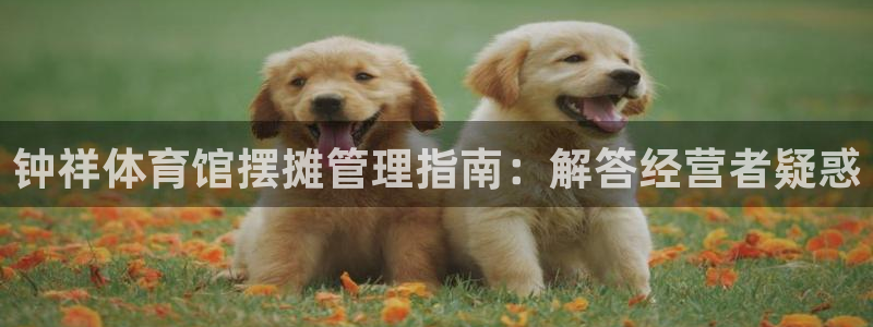 必一体育服下载最新版本更新内容